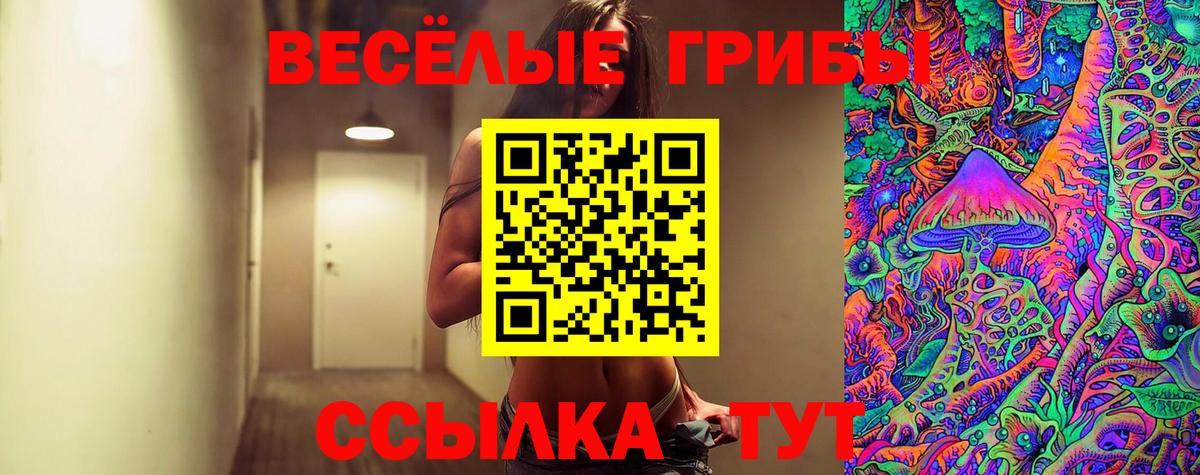 Казань  Псилоцибиновые грибы Magic Shrooms  Вход с VPN 