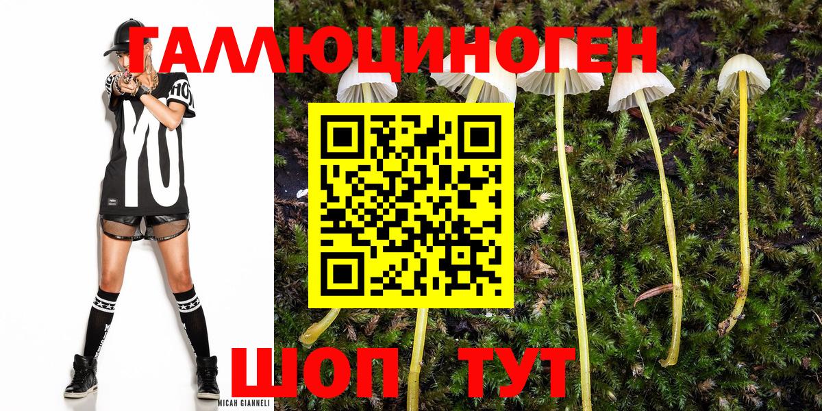 Псилоцибиновые грибы GOLDEN TEACHER Казань